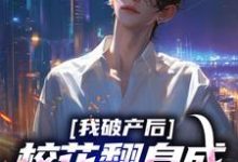 小说我破产后，校花翻身成总裁要养我？主角陈述苏晴晚免费阅读-冰糖文学