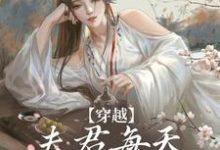 穿越：夫君每天都在争风吃醋（沈夏多夫）最新章节在线阅读-冰糖文学