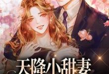 精彩章节阅读天降小甜妻:偏执大佬抱着哄(徐蓁沈凌风)免费小说在线看-冰糖文学