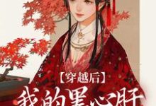 穿越后，我的黑心肝相公太撩人（李希赵承泽）完结版免费阅读-冰糖文学