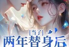 当了两年替身后,我跑路了精彩章节阅读(时柒陆淮年)免费阅读大结局-冰糖文学