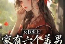 小说言卿小说女权至上家有六个美男主角言卿免费阅读-冰糖文学
