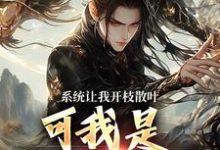 求助这本系统让我开枝散叶，可我是太监啊？小说在哪里可以看完结版-冰糖文学
