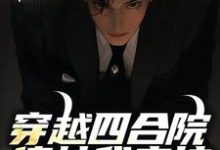 穿越四合院,傻柱我来护精彩章节阅读(何大清)免费阅读大结局-冰糖文学