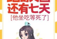 大明：距离灭国还有七天？他坐吃等死了完结版朱连免费阅读大结局-冰糖文学