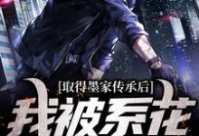 主人公是陈瀚宁欣楠的小说取得墨家传承后,我被系花盯上了免费阅读-冰糖文学