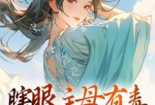 瞎眼主母有毒，不做也罢免费阅读，端木静姝大结局无弹窗-冰糖文学
