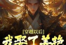 穿越以后，我娶了美艳宗主当老婆（貂长聚柳漓烟）最新章节免费阅读-冰糖文学