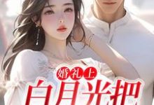 婚礼上，白月光把男友截胡了在线看，沈矜陈槿之小说大结局在哪免费看-冰糖文学