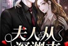 主角是简茵熹傅霆灏的小说夫人从深渊来在哪免费看-冰糖文学