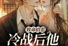 求助这本致命招惹：冷战后他靠撒娇求和小说在哪里可以看完结版-冰糖文学