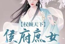 权倾天下:侯府庶女的逆袭小说资源求分享,权倾天下:侯府庶女的逆袭付锦书龙墨渊在线阅读-冰糖文学