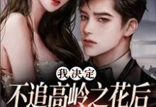 我决定不追高岭之花后,他急了在线看,樊璐陆斯钦小说大结局在哪免费看-冰糖文学