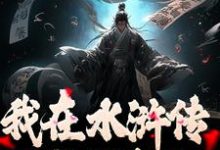 我在水浒传里收拢好汉大结局,王伦小说无广告阅读-冰糖文学