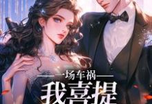 求助这本一场车祸，我喜提妻女一双？小说在哪里可以看完结版-冰糖文学