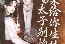 系统：太子别怕，我来给你生娃了（许锦意）完结版免费阅读-冰糖文学