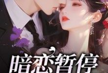 主角是宋霜序贺庭洲的小说暗恋暂停，开始恋爱在哪免费看-冰糖文学