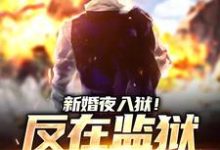 新婚夜入狱!反在监狱成大佬完结版秦风林婉儿免费阅读大结局-冰糖文学