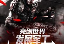 于业李云龙小说免费阅读最新章节列表，亮剑世界：发展军工我帮李云龙高升小说在线看-冰糖文学