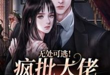 姜亦乔小说免费阅读最新章节列表，无处可逃！疯批大佬强制爱小说在线看-冰糖文学