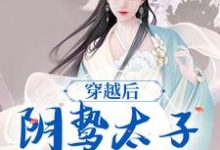 穿越后，阴鸷太子为爱发疯精彩章节阅读(苏锦东陵璟)免费阅读大结局-冰糖文学