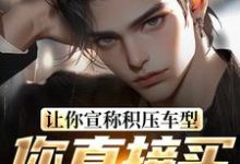 让你宣称积压车型，你直接买脱销？（苏晨）完结版免费阅读-冰糖文学