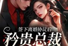 跪求主角是时知漾沈京墨的小说书名叫什么-冰糖文学