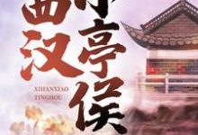 赵启明在线阅读，西汉小亭侯小说完结版章节-冰糖文学