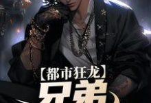 求助这本亲哥出狱，带我起飞有错吗小说在哪里可以看完结版-冰糖文学