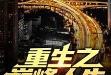 苏恒夏紫沫小说免费阅读最新章节列表，重生之巅峰人生小说在线看-冰糖文学