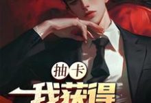 张元小说的结局在哪可以看，抽卡：我获得神级天赋免费阅读完结版-冰糖文学