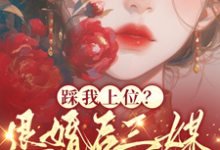 主人公是阮月见萧樾的小说踩我上位?退婚后三媒六聘嫁他哥免费阅读-冰糖文学