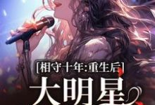 相守十年,重生后大明星她不爱了(苏未晚斐宴)完结版免费阅读-冰糖文学