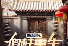 小说四合院：傻柱重生，收养破局主角傻柱秦淮茹免费阅读-冰糖文学