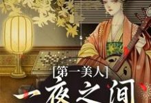 主人公是沐青婼楚云珩的小说第一美人，一夜之间沦为笑柄免费阅读-冰糖文学