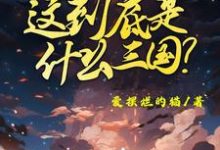 主人公是陈默的小说这到底是什么三国免费阅读-冰糖文学