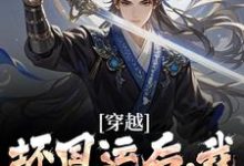 穿越：坏国运后，我要飞升成仙大结局，李天唐含雪小说无广告阅读-冰糖文学