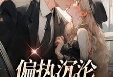 偏执沉沦:学长,晚上见完结版 姜海吟邹言免费阅读大结局-冰糖文学