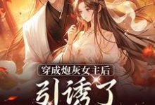 沈毓灵权明赫最新章节踹掉言情男主，勾搭男频帝王免费阅读-冰糖文学