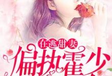 在逃甜妻:偏执霍少放肆宠小说最新章节在哪里可以免费看-冰糖文学