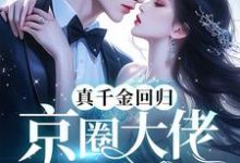 真千金回归,京圈大佬跪地宠大结局,林漫小说无广告阅读-冰糖文学