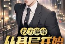 主人公是林漫的小说权力巅峰:从基层开始步步高升免费阅读-冰糖文学