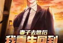 吴为小说的结局在哪可以看，妻子去世后，我重生回到高考那年免费阅读完结版-冰糖文学