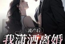 流产后我潇洒离婚,渣总悔哭了完结版叶沐笒许复昂免费阅读大结局-冰糖文学