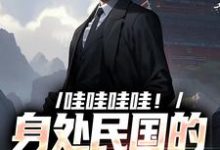 小说哇哇哇哇!身处民国的我变大佬(苏墨)最新章节在哪看-冰糖文学