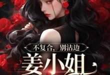 顾衍泽苏辞心在线阅读,不复合,别沾边,姜小姐又美又飒小说完结版章节-冰糖文学
