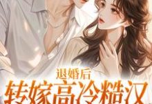 退婚后转嫁高冷糙汉，渣男悔疯了免费阅读，林玉瑶大结局无弹窗-冰糖文学