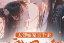 跪求主角是孟繁初时今晏的小说书名叫什么-冰糖文学