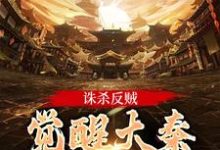 完结版诛杀反贼，觉醒大秦千年气运在哪免费看，嬴启小说在线阅读-冰糖文学