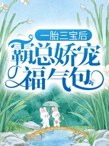 一胎三宝后，霸总娇宠福气包无弹窗陆北城江如意最新章节列表